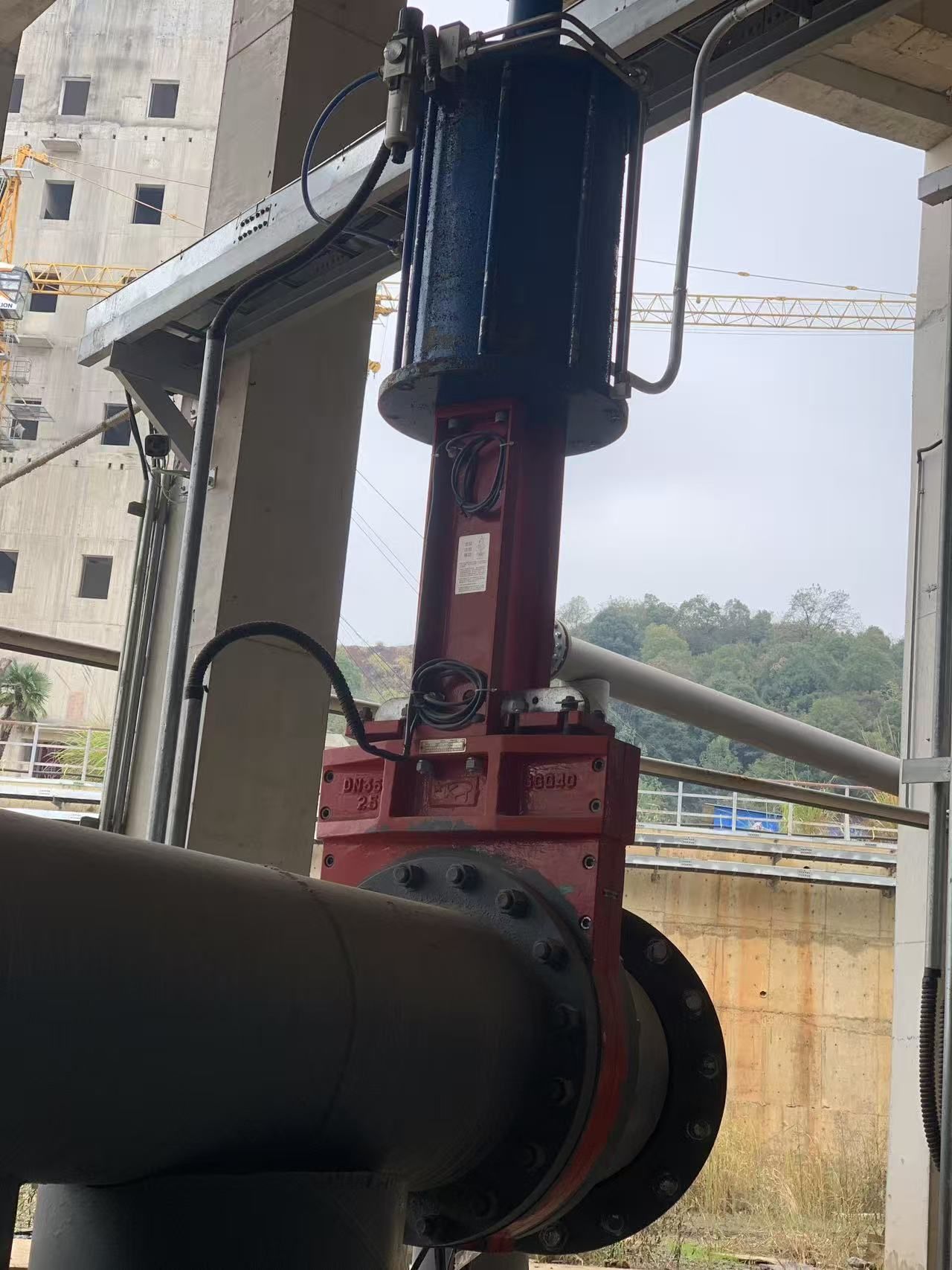 8976eb8e2f62d593d04410b42a401d68